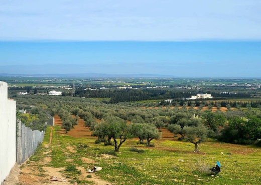 À VENDRE – TERRAIN CONSTRUCTIBLE 300 M² - Bien immobilier à {"id":1,"country_id":219,"name":"ARIANA","slug":"ariana"} - Agence Immobilière immo\'in