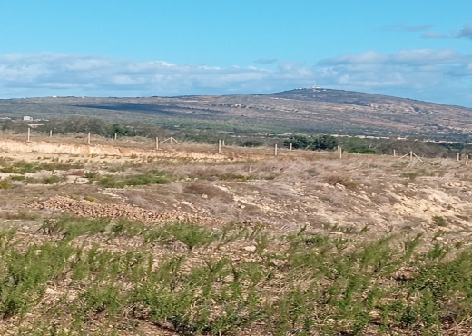 À vendre : Terrain agricole à Béjou - Bien immobilier à {"id":4,"country_id":219,"name":"BIZERTE","slug":"bizerte"} - Image 4 - Agence Immobilière Maison Plus Elite