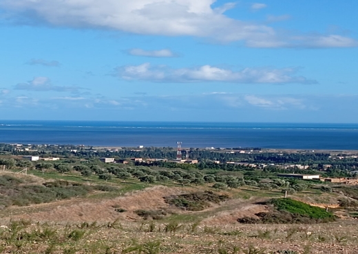 À vendre : Terrain agricole à Béjou - Bien immobilier à {"id":4,"country_id":219,"name":"BIZERTE","slug":"bizerte"} - Image 3 - Agence Immobilière Maison Plus Elite