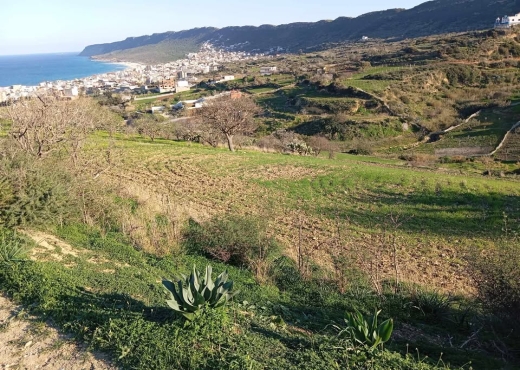 🌊 Terrain 4000 m² vue mer à Rafraf - Bien immobilier à {"id":4,"country_id":219,"name":"BIZERTE","slug":"bizerte"} - Agence Immobilière immo\'in