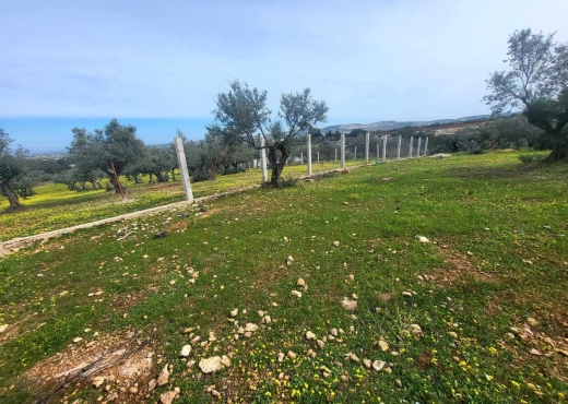 À VENDRE – TERRAIN CONSTRUCTIBLE 300 M² - Bien immobilier à {"id":1,"country_id":219,"name":"ARIANA","slug":"ariana"} - Image 3 - Agence Immobilière Maison Plus Elite