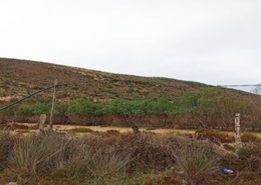 Terrain 1 400 m² à Ghar El Melh 🏝️ - Bien immobilier à {"id":4,"country_id":219,"name":"BIZERTE","slug":"bizerte"} - Image 4 - Agence Immobilière Maison Plus Elite