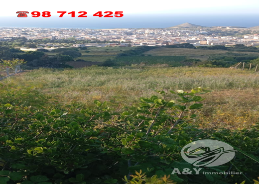 📍 Terrain à vendre à EL NADHOUR – Rafraf - Bien immobilier à {"id":4,"country_id":219,"name":"BIZERTE","slug":"bizerte"} - Image 4 - Agence Immobilière Maison Plus Elite