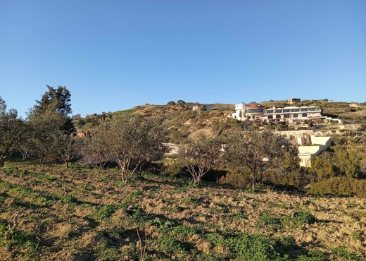 🌊 Terrain 4000 m² vue mer à Rafraf - Bien immobilier à {"id":4,"country_id":219,"name":"BIZERTE","slug":"bizerte"} - Image 4 - Agence Immobilière Maison Plus Elite