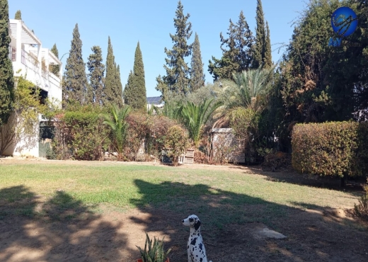 🏡 Maison spacieuse avec grand jardin à vendre - Bien immobilier à {"id":23,"country_id":219,"name":"TUNIS","slug":"tunis"} - Image 4 - Agence Immobilière Maison Plus Elite