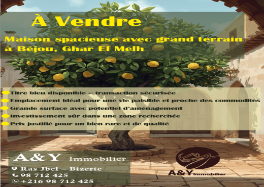 Maison spacieuse avec grand terrain 🌳🍋