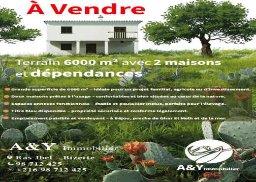 Grand terrain 6000 m² + 2 maisons à Béjou