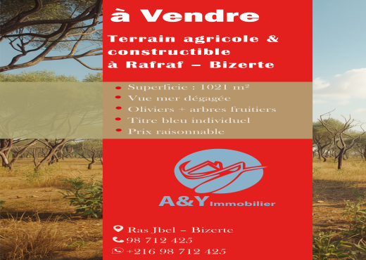 🌿 Terrain 1021 m² à Rafraf, Vue Mer