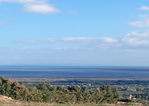 🔥 À vendre : Terrain à Béjou – Ghar El Melh