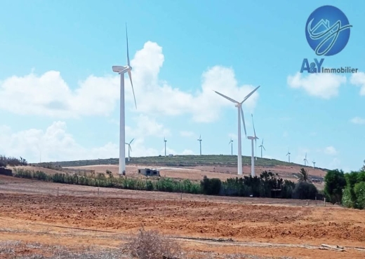 🌊 Terrain 1000 m² à Borj Salhi – Vue mer