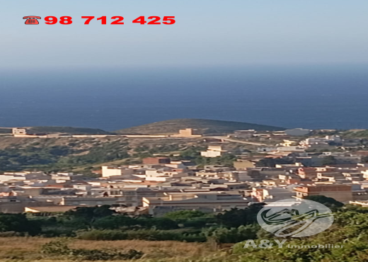 📍 Terrain à vendre à EL NADHOUR – Rafraf - Bien immobilier à {"id":4,"country_id":219,"name":"BIZERTE","slug":"bizerte"} - Image 3 - Agence Immobilière Maison Plus Elite
