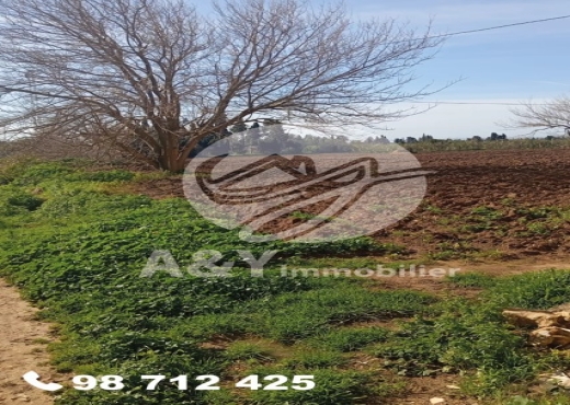 🌿🌳 Terrain agricole à vendre – Gharel Melh 🌳🌿 - Bien immobilier à {"id":4,"country_id":219,"name":"BIZERTE","slug":"bizerte"} - Image 4 - Agence Immobilière Maison Plus Elite