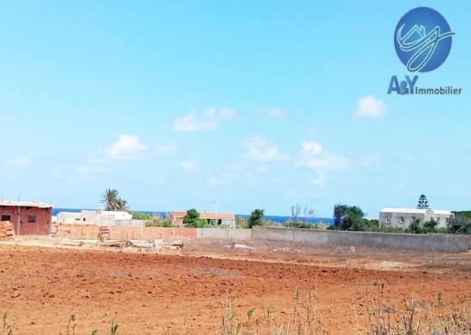 🌊 Terrain 1000 m² à Borj Salhi – Vue mer - Bien immobilier à {"id":16,"country_id":219,"name":"NABEUL","slug":"nabeul"} - Image 3 - Agence Immobilière Maison Plus Elite