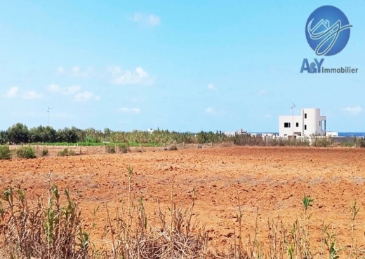 🌊 Terrain 1000 m² à Borj Salhi – Vue mer - Bien immobilier à {"id":16,"country_id":219,"name":"NABEUL","slug":"nabeul"} - Image 2 - Agence Immobilière Maison Plus Elite