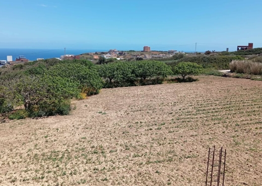 🌅 Terrain à vendre avec vue mer - Bien immobilier à {"id":4,"country_id":219,"name":"BIZERTE","slug":"bizerte"} - Image 3 - Agence Immobilière Maison Plus Elite