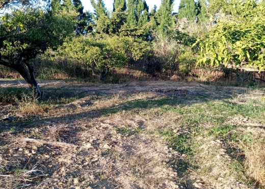 Terrain agricole de 1005 m² à Ras Jebel - Bien immobilier à {"id":4,"country_id":219,"name":"BIZERTE","slug":"bizerte"} - Image 2 - Agence Immobilière Maison Plus Elite