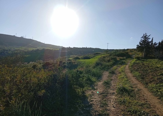 🌊 Terrain 4000 m² vue mer à Rafraf - Bien immobilier à {"id":4,"country_id":219,"name":"BIZERTE","slug":"bizerte"} - Image 3 - Agence Immobilière Maison Plus Elite