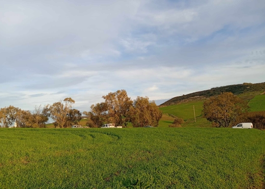 🔥 PRIX FORCA – TERRAIN À VENDRE À RAS EL JEBEL 🔥 - Bien immobilier à {"id":4,"country_id":219,"name":"BIZERTE","slug":"bizerte"} - Image 4 - Agence Immobilière Maison Plus Elite