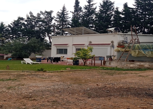 🏡 Terrain agricole bien équipé avec villa - Bien immobilier à {"id":3,"country_id":219,"name":"BEN AROUS","slug":"ben-arous"} - Agence Immobilière immo\'in