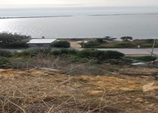 Terrain de 175 m² à Ghar El Melh ! E - Bien immobilier à {"id":4,"country_id":219,"name":"BIZERTE","slug":"bizerte"} - Image 2 - Agence Immobilière Maison Plus Elite