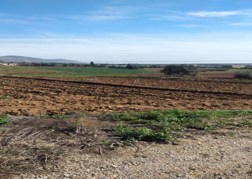 Terrain agricole constructible à Ghar El Melh - Bien immobilier à {"id":4,"country_id":219,"name":"BIZERTE","slug":"bizerte"} - Agence Immobilière immo\'in