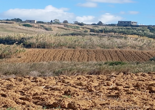 Terrain agricole, Route Ras Jebel ↔ Rafraf - Bien immobilier à {"id":4,"country_id":219,"name":"BIZERTE","slug":"bizerte"} - Image 2 - Agence Immobilière Maison Plus Elite