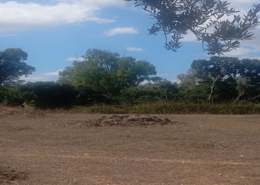 Terrain 1945 m² à Cap Zbib 🌊 - Bien immobilier à {"id":4,"country_id":219,"name":"BIZERTE","slug":"bizerte"} - Image 2 - Agence Immobilière Maison Plus Elite