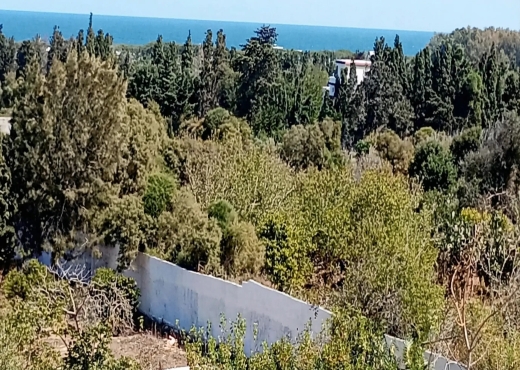 Ferme exceptionnelle située à Ras El Djebel - Bien immobilier à {"id":4,"country_id":219,"name":"BIZERTE","slug":"bizerte"} - Image 4 - Agence Immobilière Maison Plus Elite