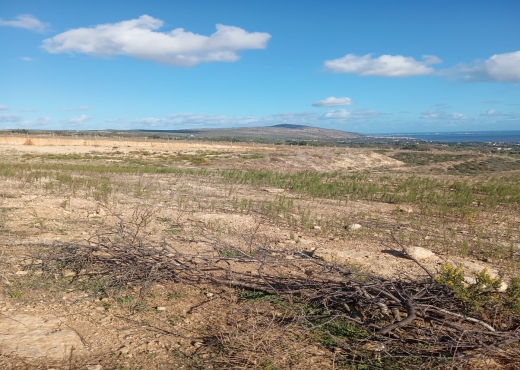 À vendre – Immeuble à Bab Aliwa🏢 - Bien immobilier à {"id":23,"country_id":219,"name":"TUNIS","slug":"tunis"} - Image 2 - Agence Immobilière Maison Plus Elite