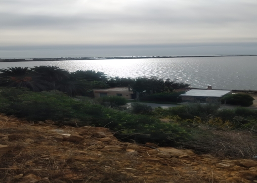 Terrain de 175 m² à Ghar El Melh ! E - Bien immobilier à {"id":4,"country_id":219,"name":"BIZERTE","slug":"bizerte"} - Image 3 - Agence Immobilière Maison Plus Elite