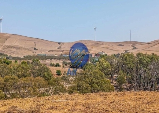 Terrain 4000 m² à Garia – Metline - Bien immobilier à {"id":4,"country_id":219,"name":"BIZERTE","slug":"bizerte"} - Image 2 - Agence Immobilière Maison Plus Elite