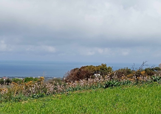 Terrain de 3000 m² à Metline - Bien immobilier à {"id":4,"country_id":219,"name":"BIZERTE","slug":"bizerte"} - Image 4 - Agence Immobilière Maison Plus Elite