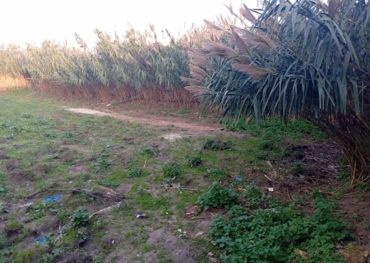 🏡 Terrain 315 m² à Ras El Djebel - Bien immobilier à {"id":4,"country_id":219,"name":"BIZERTE","slug":"bizerte"} - Agence Immobilière immo\'in