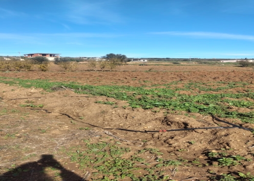 Terrain agricole constructible à Ghar El Melh - Bien immobilier à {"id":4,"country_id":219,"name":"BIZERTE","slug":"bizerte"} - Image 2 - Agence Immobilière Maison Plus Elite