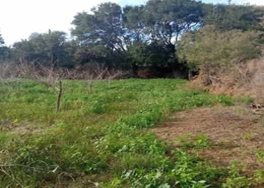 🌿 Terrain 1021 m² à Rafraf, Vue Mer - Bien immobilier à {"id":4,"country_id":219,"name":"BIZERTE","slug":"bizerte"} - Agence Immobilière immo\'in