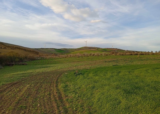🌿 Terrain à vendre à Ras El Jebel – Bizerte 🌿 - Bien immobilier à {"id":4,"country_id":219,"name":"BIZERTE","slug":"bizerte"} - Image 4 - Agence Immobilière Maison Plus Elite