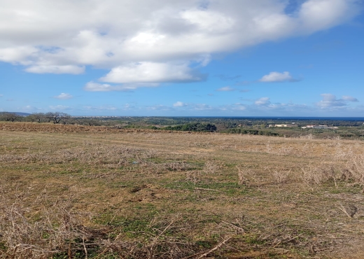 📍🌿 Terrain 2329 m² à Béjou – Ghar El Melh - Bien immobilier à {"id":4,"country_id":219,"name":"BIZERTE","slug":"bizerte"} - Image 4 - Agence Immobilière Maison Plus Elite