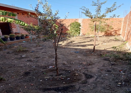 ✨ MAISON EN COURS DE CONSTRUCTION À VENDRE ! - Bien immobilier à {"id":4,"country_id":219,"name":"BIZERTE","slug":"bizerte"} - Image 4 - Agence Immobilière Maison Plus Elite