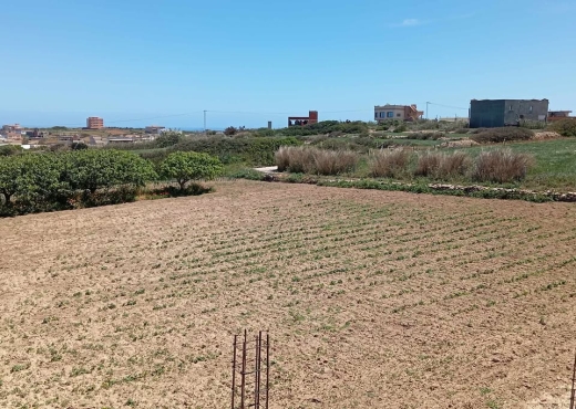 🌅 Terrain à vendre avec vue mer - Bien immobilier à {"id":4,"country_id":219,"name":"BIZERTE","slug":"bizerte"} - Image 4 - Agence Immobilière Maison Plus Elite
