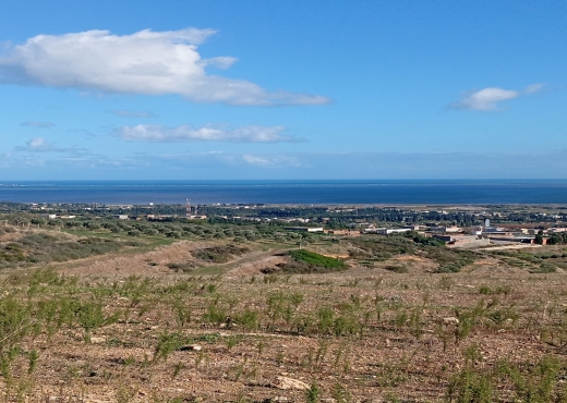 À vendre : Terrain agricole à Béjou - Bien immobilier à {"id":4,"country_id":219,"name":"BIZERTE","slug":"bizerte"} - Agence Immobilière immo\'in