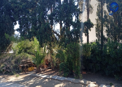 🏡 Maison spacieuse avec grand jardin à vendre - Bien immobilier à {"id":23,"country_id":219,"name":"TUNIS","slug":"tunis"} - Agence Immobilière immo\'in