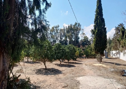 Ferme exceptionnelle située à Ras El Djebel - Bien immobilier à {"id":4,"country_id":219,"name":"BIZERTE","slug":"bizerte"} - Agence Immobilière immo\'in