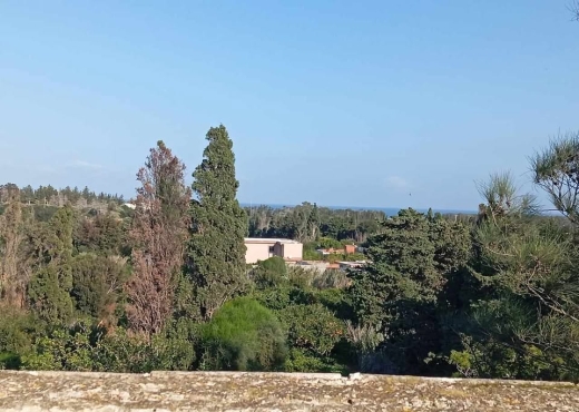 Ferme à vendre à Ras Jebel – Bizerte ! 🏡 - Bien immobilier à {"id":4,"country_id":219,"name":"BIZERTE","slug":"bizerte"} - Image 4 - Agence Immobilière Maison Plus Elite