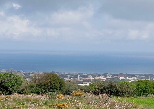Terrain de 3000 m² à Metline - Bien immobilier à {"id":4,"country_id":219,"name":"BIZERTE","slug":"bizerte"} - Agence Immobilière immo\'in