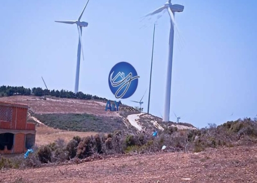 🌅 À vendre, Terrain vue mer à Metline - Bien immobilier à {"id":4,"country_id":219,"name":"BIZERTE","slug":"bizerte"} - Image 2 - Agence Immobilière Maison Plus Elite