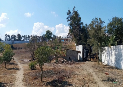 Ferme exceptionnelle située à Ras El Djebel - Bien immobilier à {"id":4,"country_id":219,"name":"BIZERTE","slug":"bizerte"} - Image 3 - Agence Immobilière Maison Plus Elite