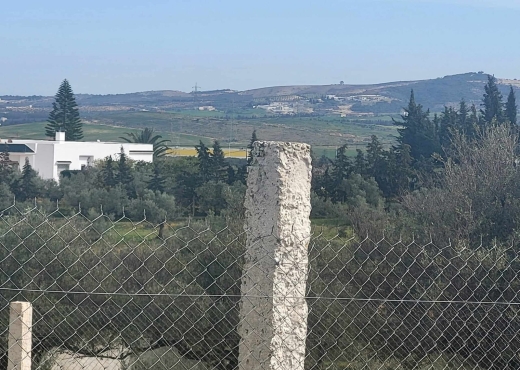 À VENDRE – TERRAIN CONSTRUCTIBLE 300 M² - Bien immobilier à {"id":1,"country_id":219,"name":"ARIANA","slug":"ariana"} - Image 2 - Agence Immobilière Maison Plus Elite