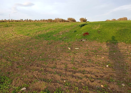 🔥 PRIX FORCA – TERRAIN À VENDRE À RAS EL JEBEL 🔥 - Bien immobilier à {"id":4,"country_id":219,"name":"BIZERTE","slug":"bizerte"} - Image 2 - Agence Immobilière Maison Plus Elite