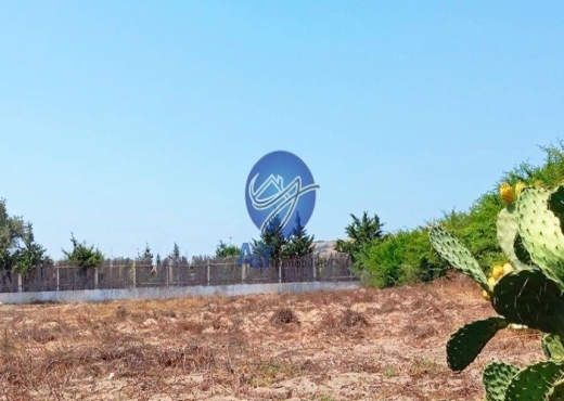 Terrain 4000 m² à Garia – Metline - Bien immobilier à {"id":4,"country_id":219,"name":"BIZERTE","slug":"bizerte"} - Image 4 - Agence Immobilière Maison Plus Elite