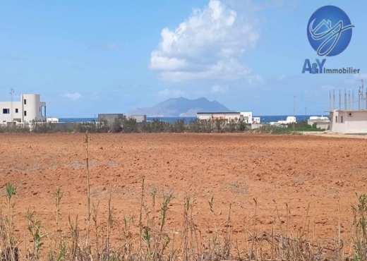 🌊 Terrain 1000 m² à Borj Salhi – Vue mer - Bien immobilier à {"id":16,"country_id":219,"name":"NABEUL","slug":"nabeul"} - Agence Immobilière immo\'in